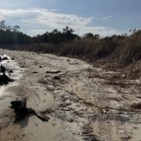 Northern secret beach