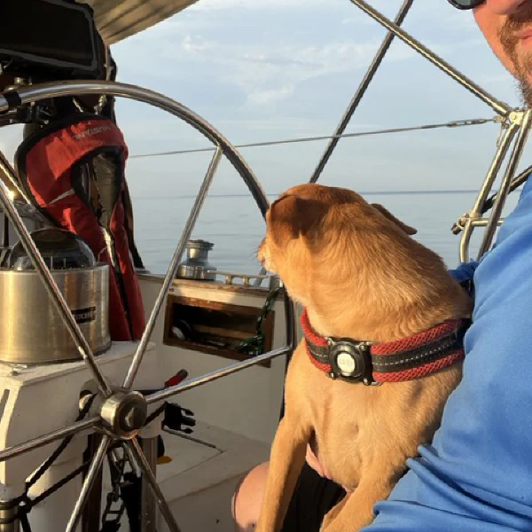 Bash finds his way to the wheel