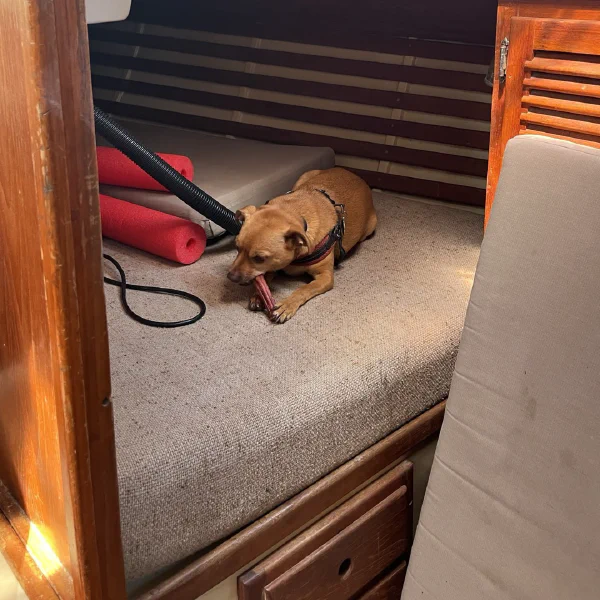 Bash claiming the quarterbirth the day we took delivery