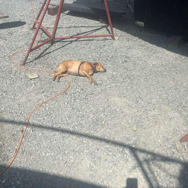 Supervising the refit