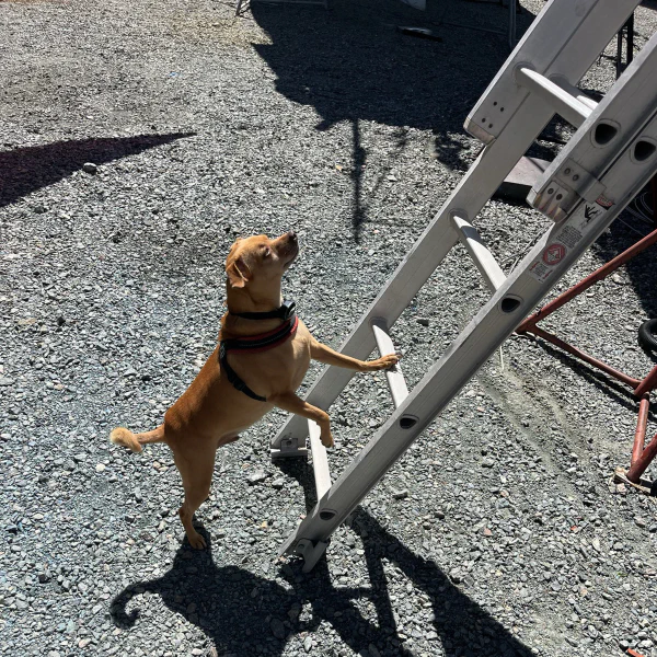 I think you forgot something