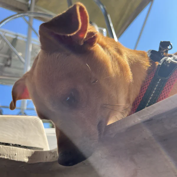 'What the hell are you doing in there dad?'