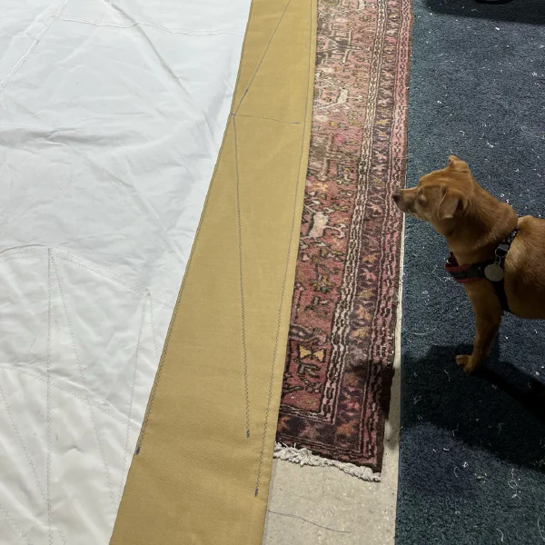 The new sacrifical cover is oddly Bash-toned