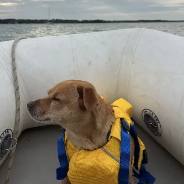 Captain of the dinghy