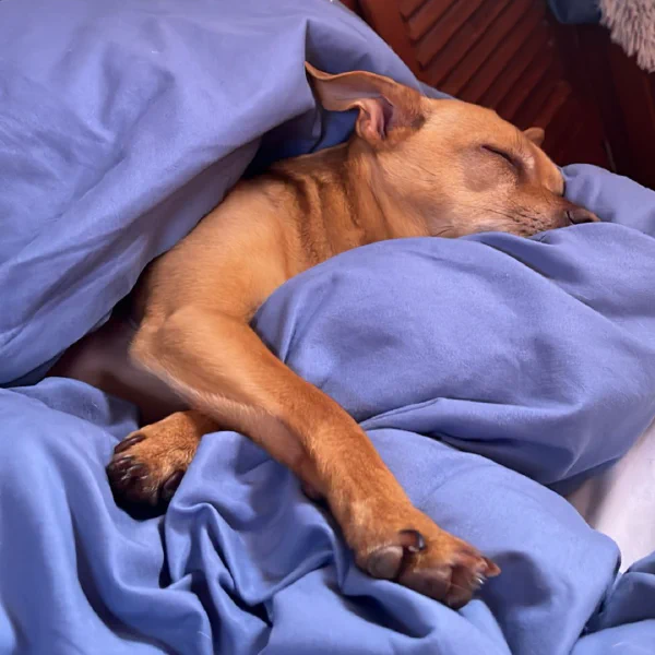 'You dock the boat, I'll be here if you need me'