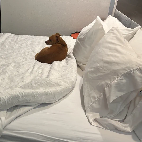 First step in any new hotel room; assert ownership of bed thing