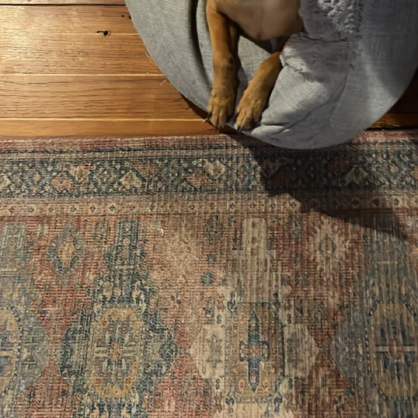 Adapt or die: Bash finds a comfortable seat in the swell