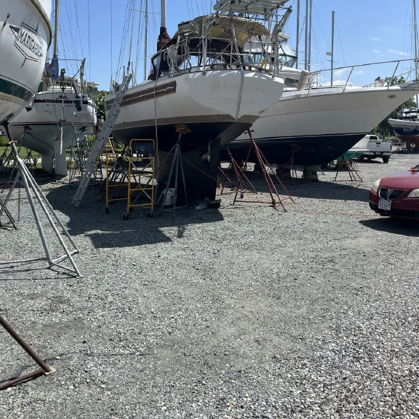 It took a bathtub of toilet bowl cleaner to get the tea stains off, but her white was finally... white!