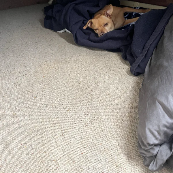 The port quarterbirth (guest room), in need of better photos