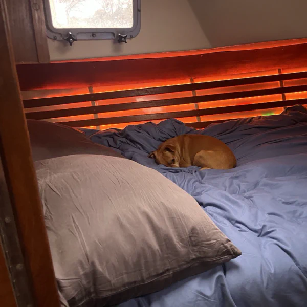 queen size captain's birth