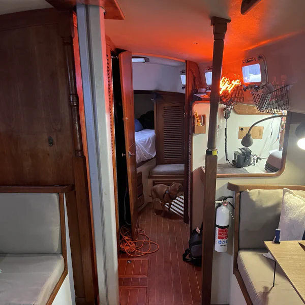 Lower deck amidships