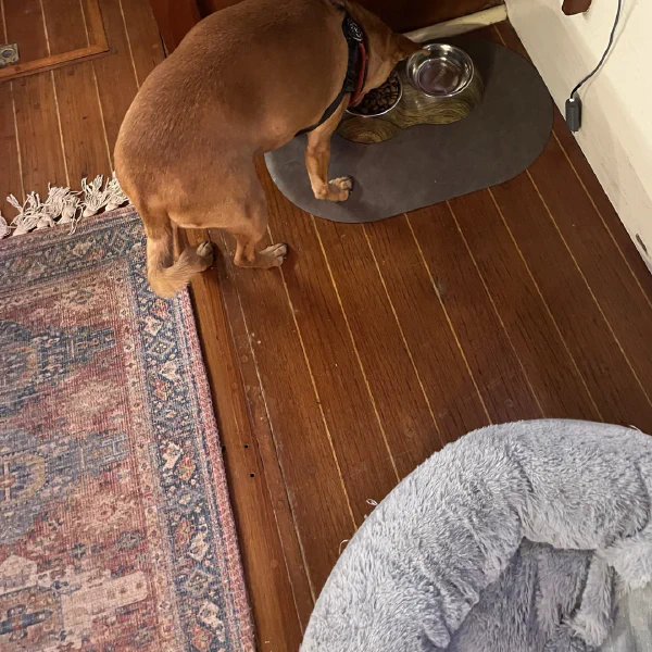 doggo corner, port aft