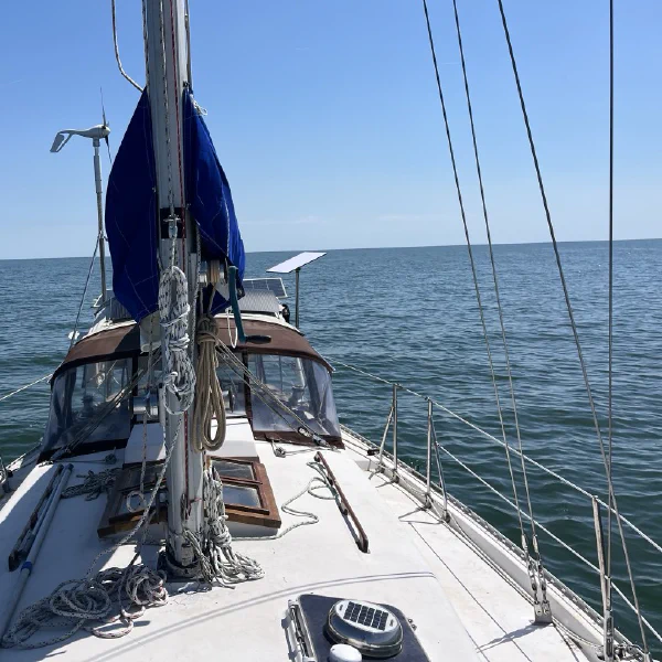 The foredeck hammock is my newest addition to the deck furniture.. and there's no photos yet